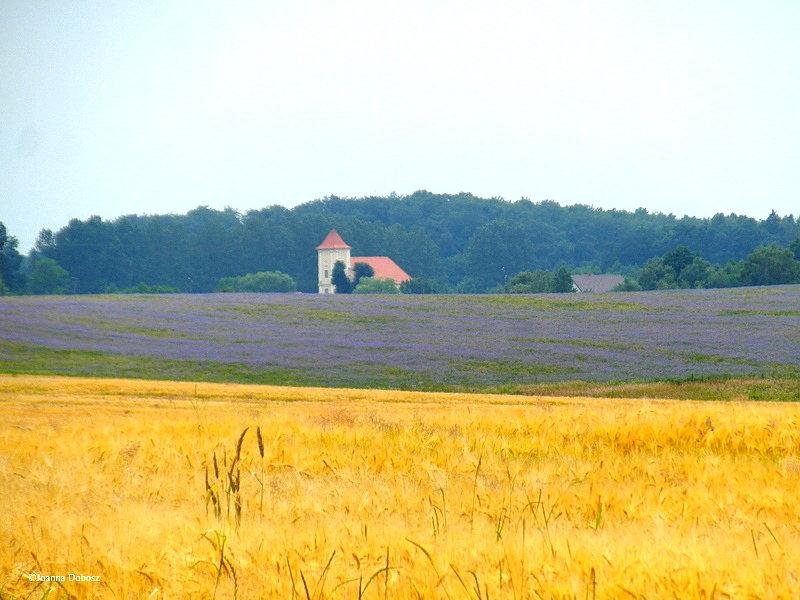 W kierunku Pogódek