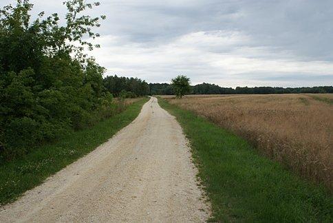 Szuter? nowy szuter, nowe zmiany