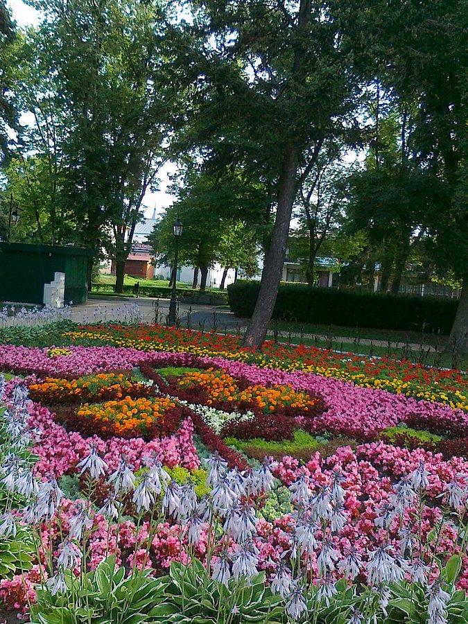 Ciechocińskie dywany