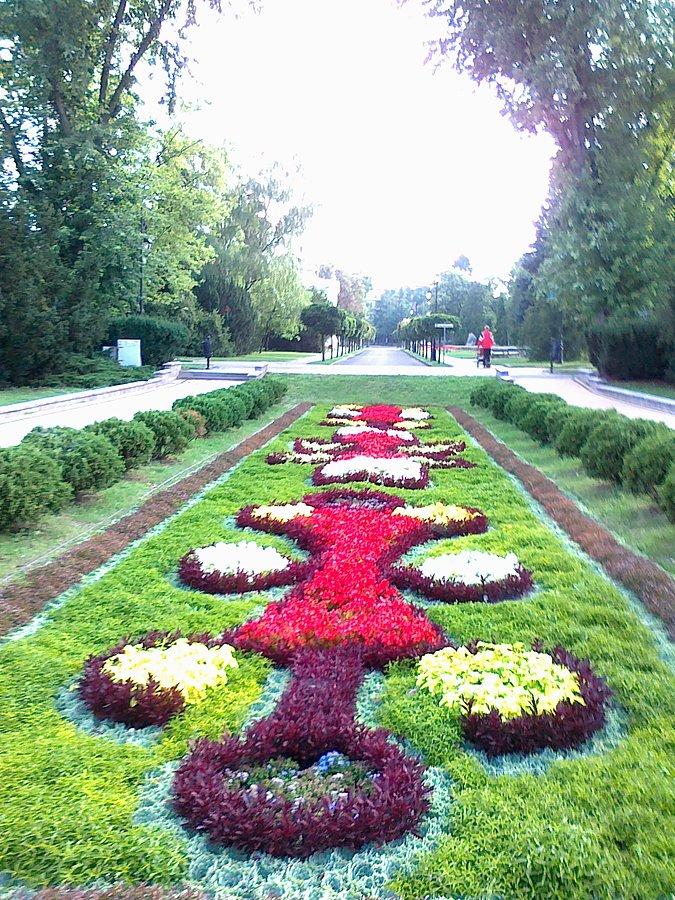 Ciechocińskie dywany