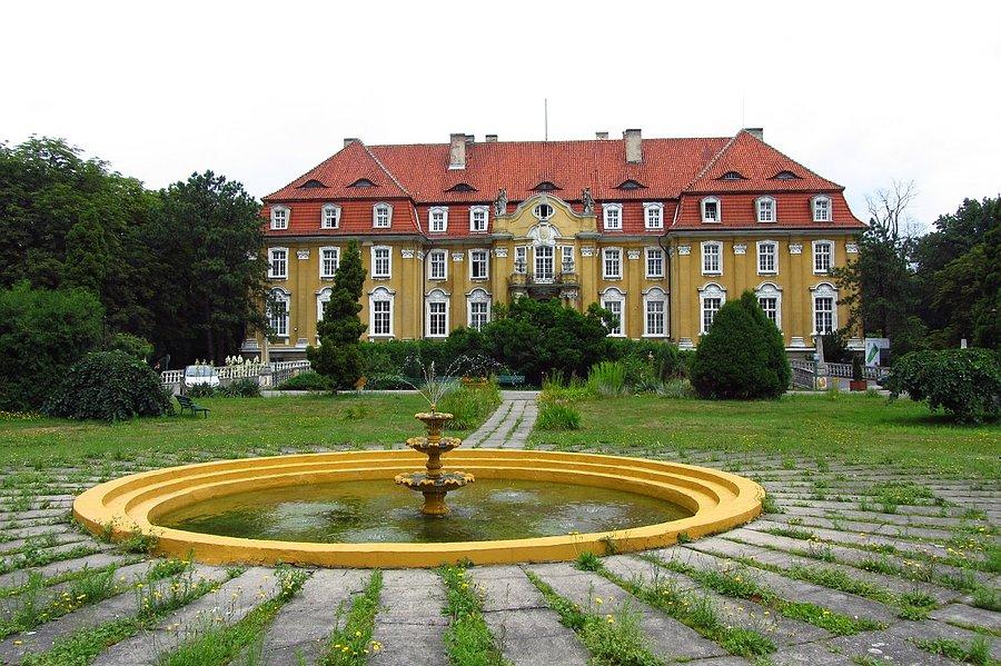 Kochcice