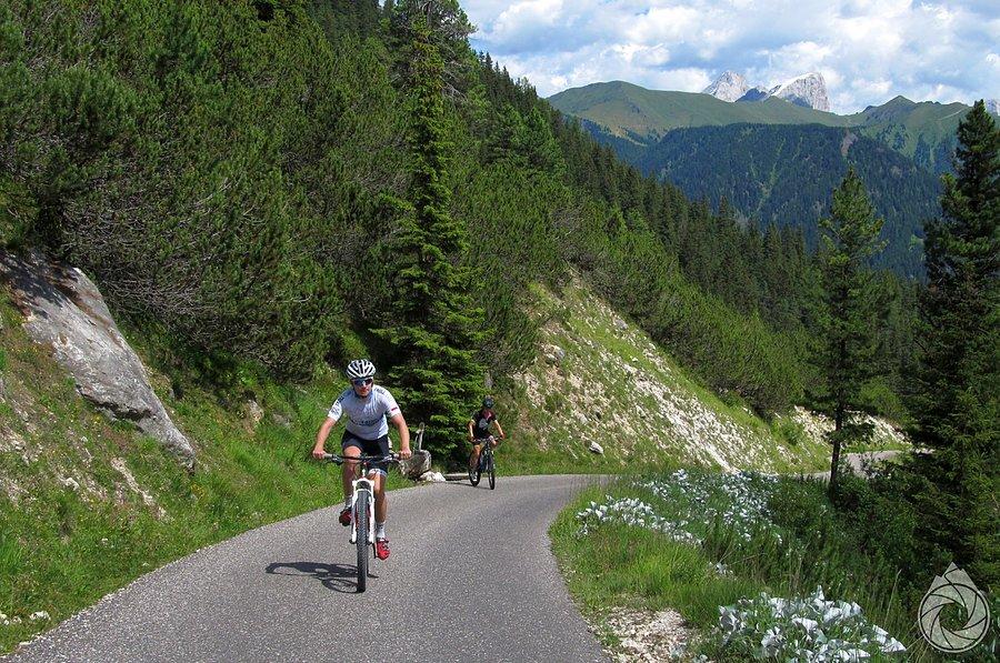 Wodopój, 14%, marmolada w tle, +32st.C