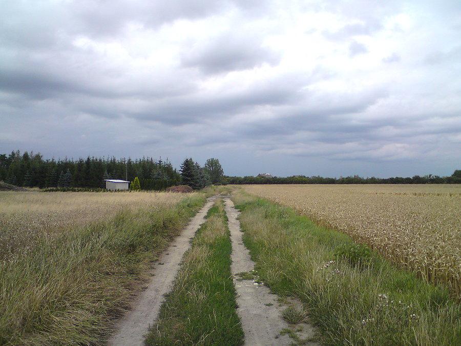 Powrót z Brzegu