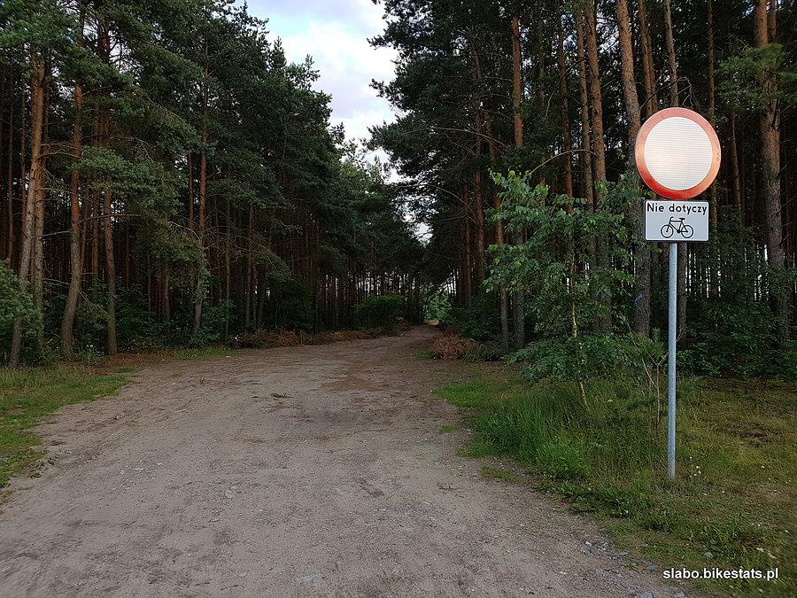 Droga do lasu naprzeciwko oczyszczalni ścieków w Łodzi - trend wyłączania rowerzystów spod zakazów dotarł na obrzeża