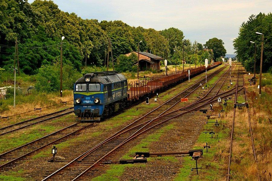 ST44-1217 z próżnymi platformami typu Rs,Res i Scmms do Międzylesia, powoli mija Głogówek