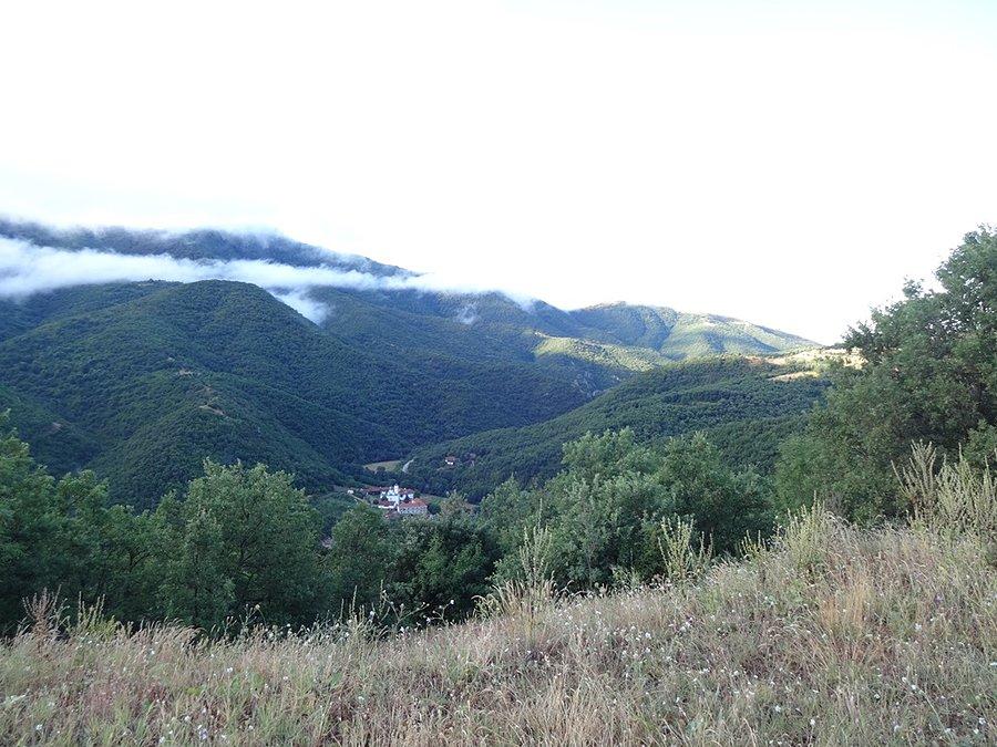 Widoki