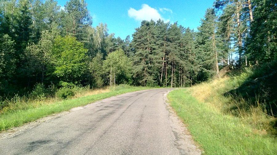 Słonko, las, cisza - tak niewiele do szczęścia trzeba