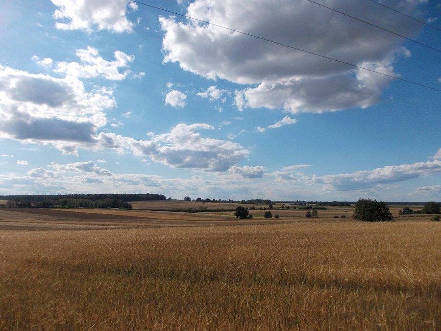 Lato wróciło