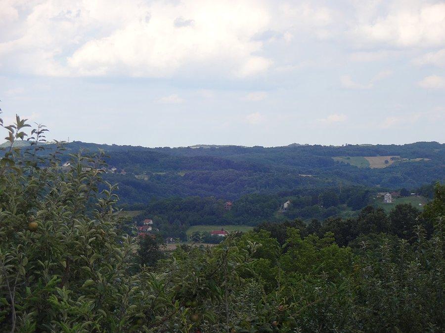 Widoki