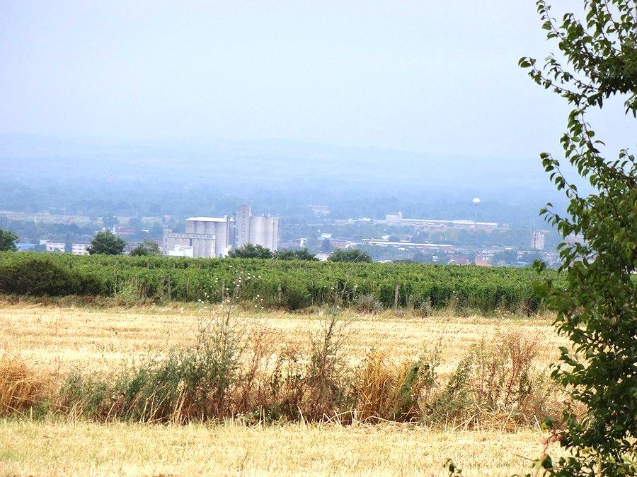 Widok na miasto Jagodina
