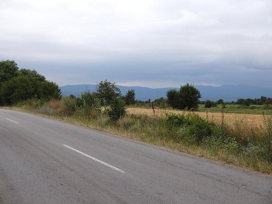 Widoki