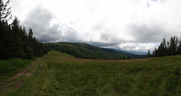 Hala Kamińskiego