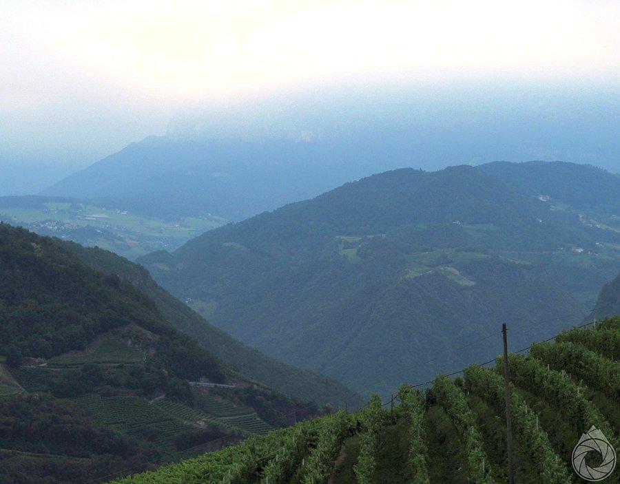 Tyrol Południowy przez winnice