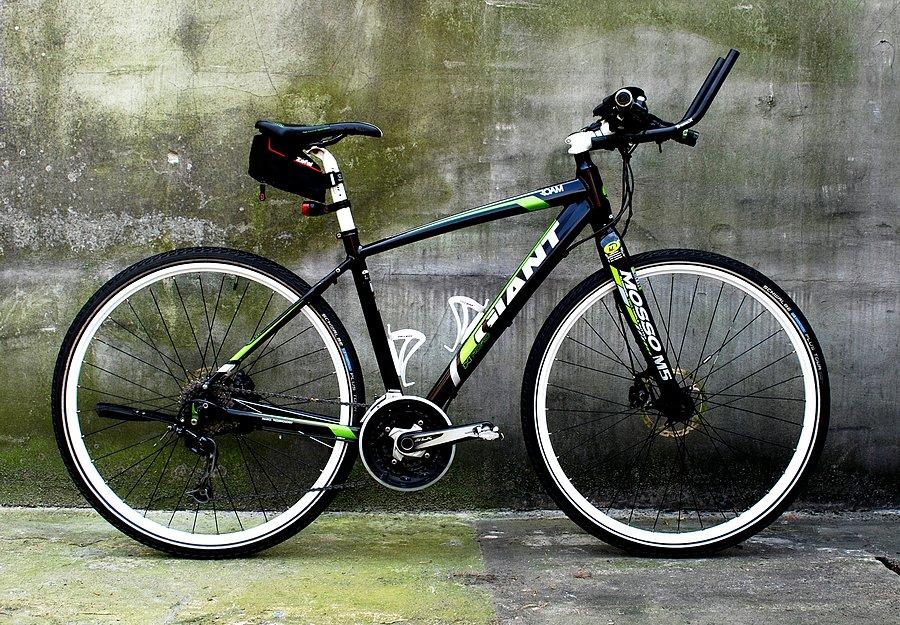 Giant roam