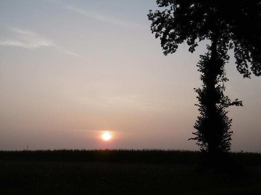 Wschodzące słońce