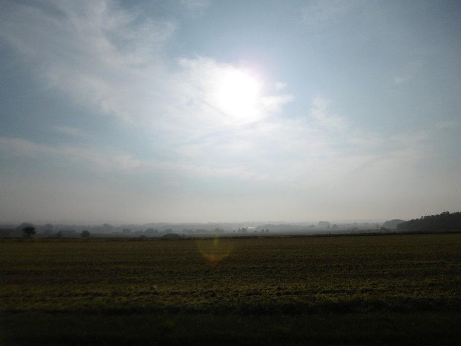 Widoczek
