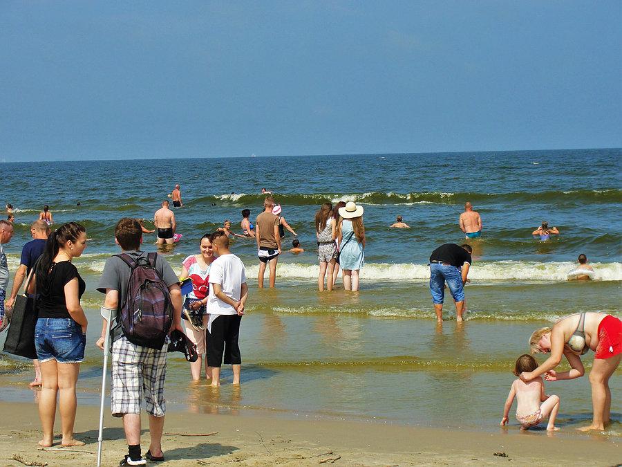 Wycieczka rowerowa: Żuławy, morze - Jantar