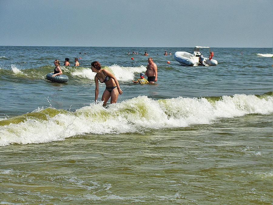 Wycieczka rowerowa: Żuławy, morze - Jantar