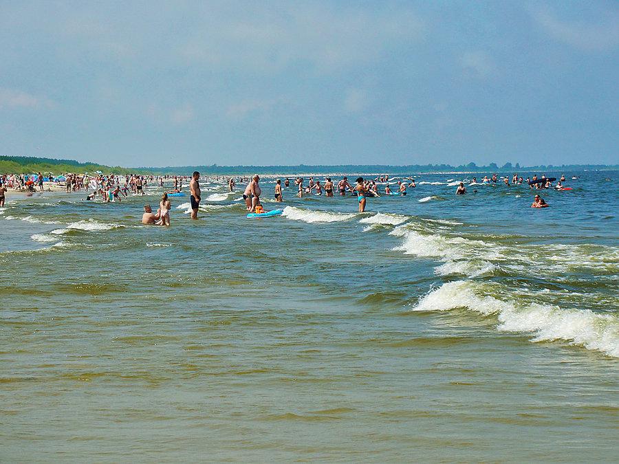 Wycieczka rowerowa: Żuławy, morze - Jantar