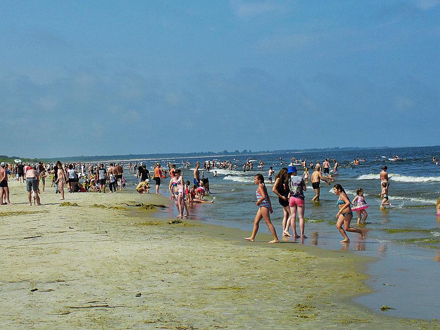 Wycieczka rowerowa: Żuławy, morze - Jantar