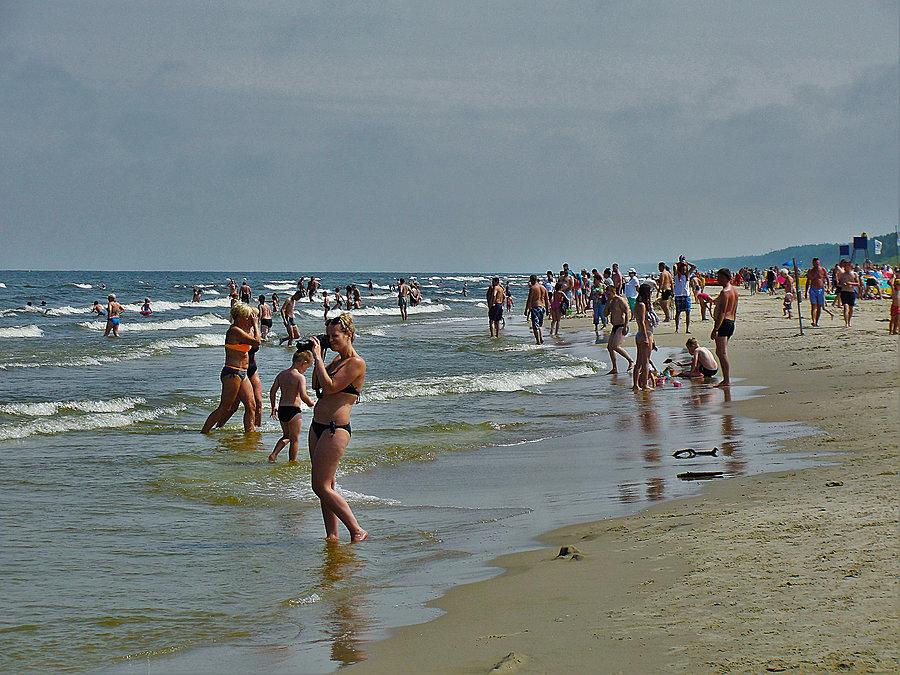Wycieczka rowerowa: Żuławy, morze - Jantar