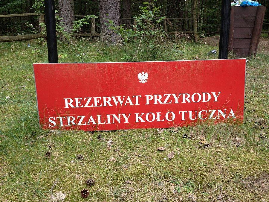 Rezerwat przyrody Strzaliny koło Tuczna