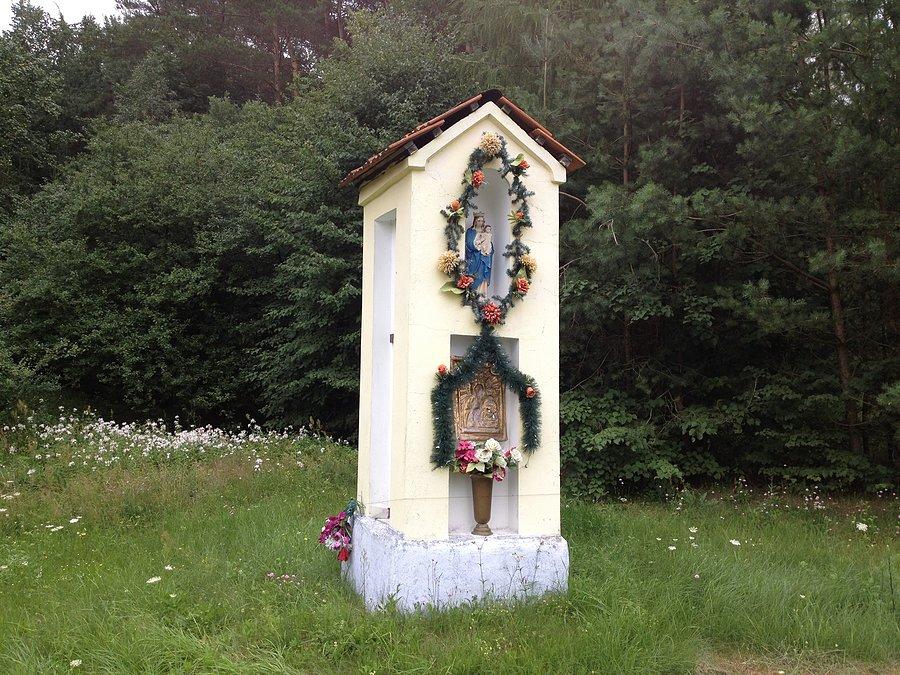 Kolejna kapliczka przydrożna w Strzalinach / kierunek Zdbowo