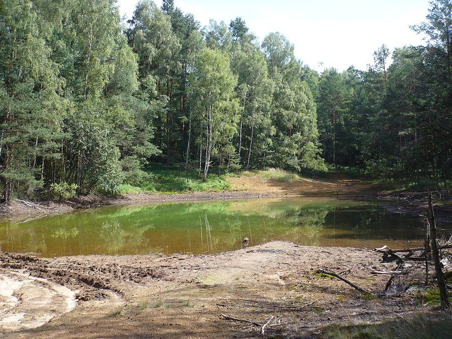 Lubię ten widok