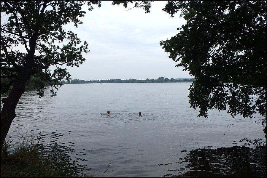 Pływanie