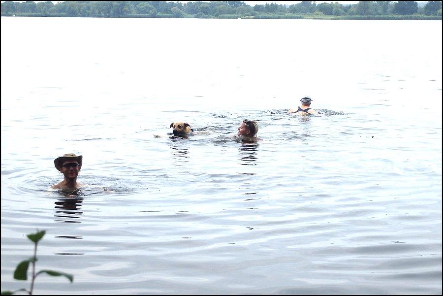 Pływacy