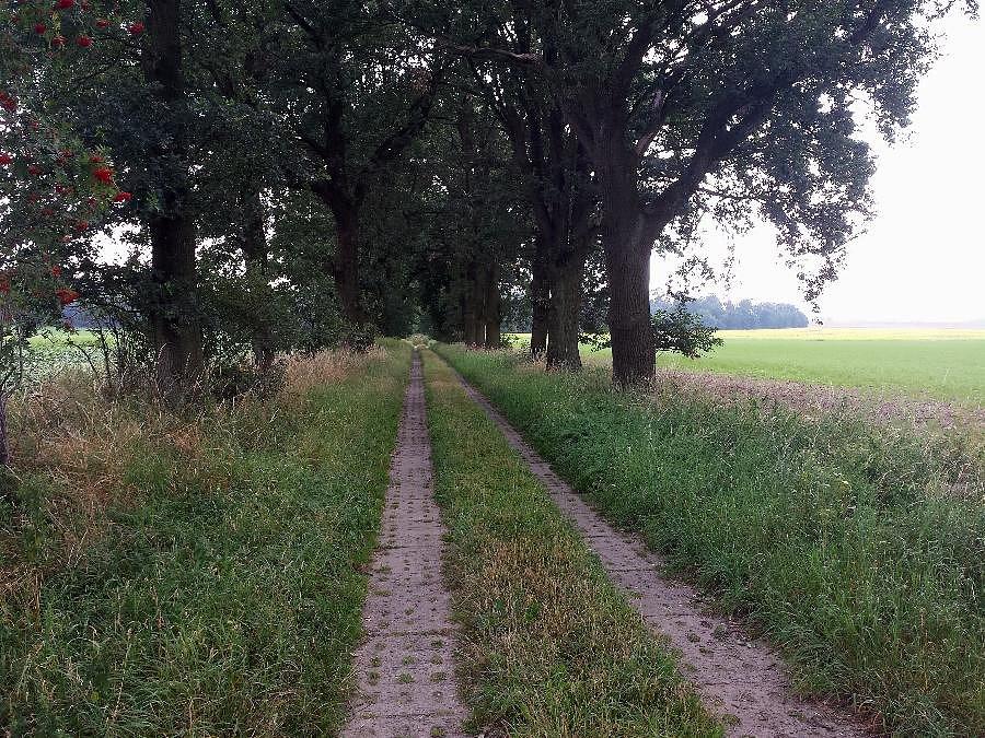 Droga z Ulikowa do Strachocina wzdłuż torów