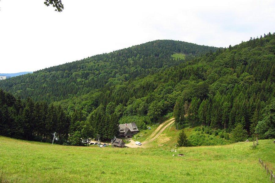 Widoczek po drodze II
