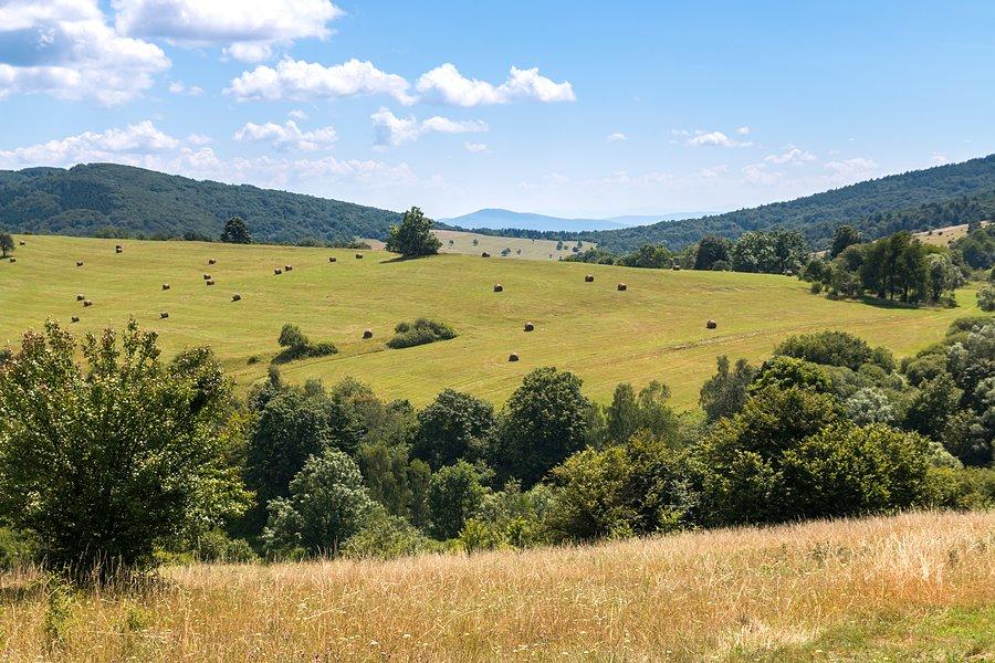 Beskidzkie widoki w okolicach Ciechania