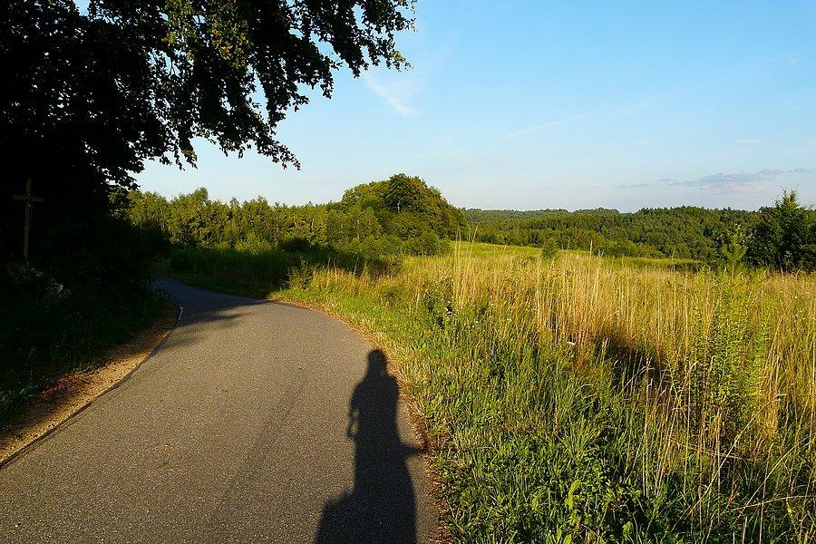 Ścieżki rowerowe w Żarkach