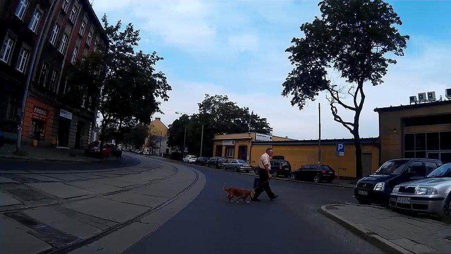 Spacerniak dla pieska
