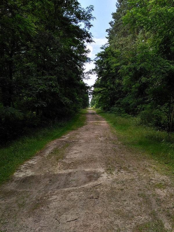 Szutrówka na Lubień
