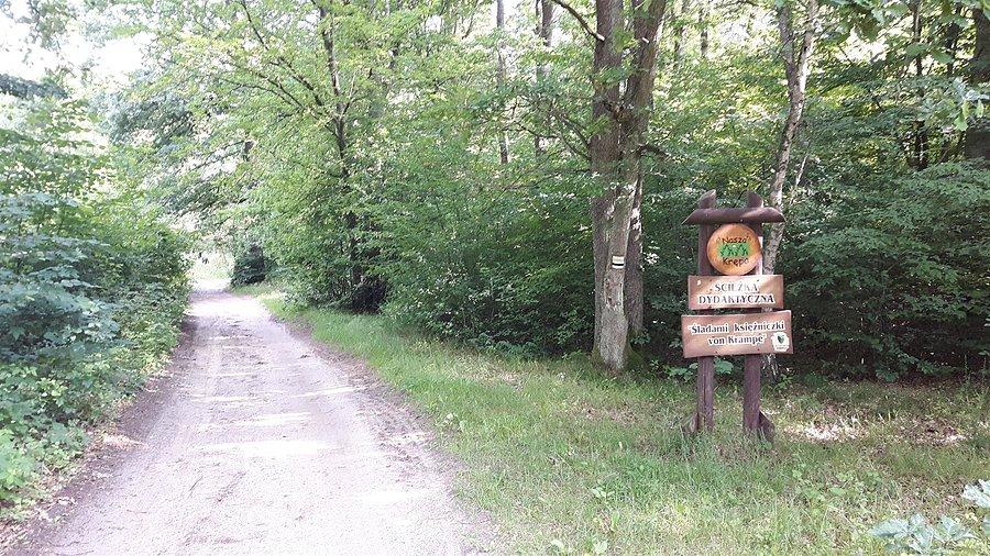 Droga śladami księżniczki von Krampe