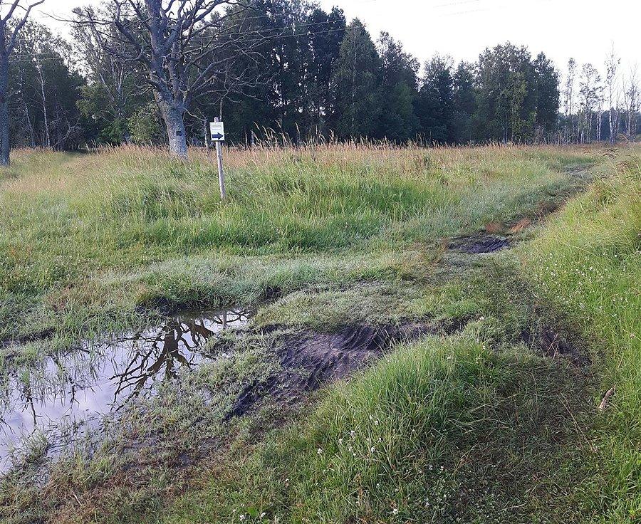 Szlak rowerowy Kluki - Izbica