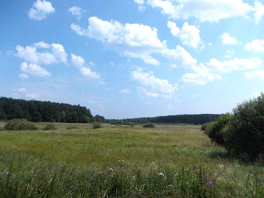 Kozłowiecki Park Krajobrazowy
