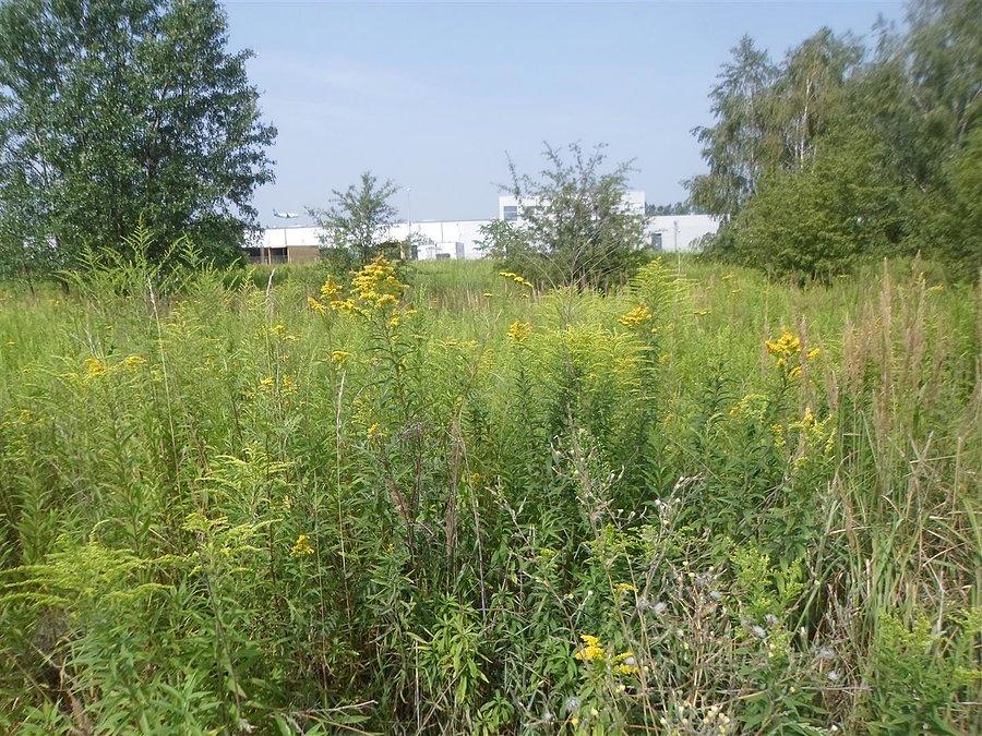Krasnowolska Poleczki Business Park