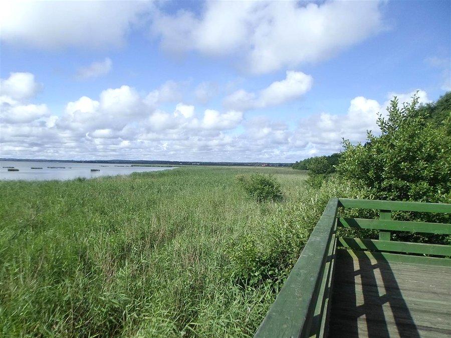 Pomost widokowy na Jezioro Gardno