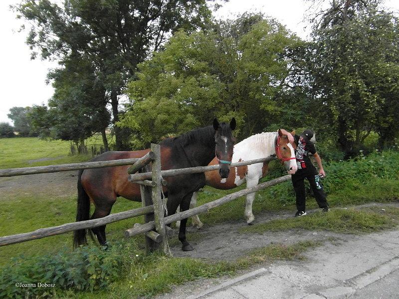 Gospodarstwo Agroturystyczne "Huzar"w Nowem