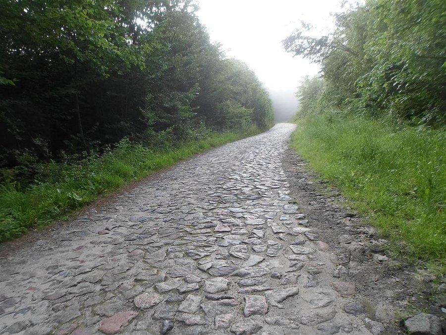 Cholerny podjazd do Gałąźni Wielkiej
