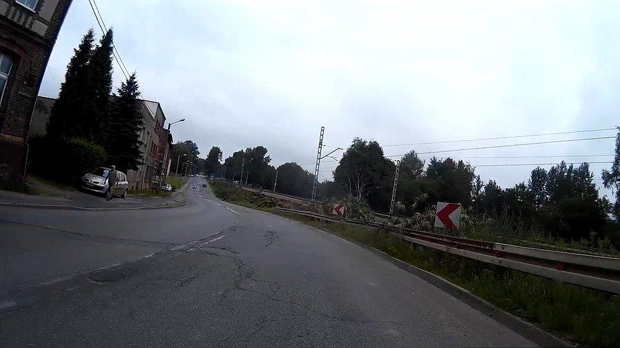 Wycięli drzewa