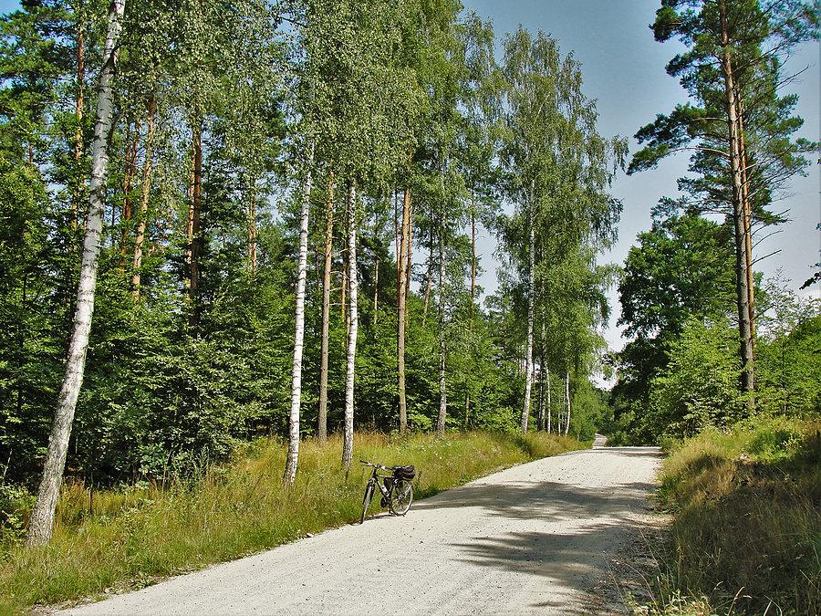 Wycieczka rowerowa - Tczew i jego okolice