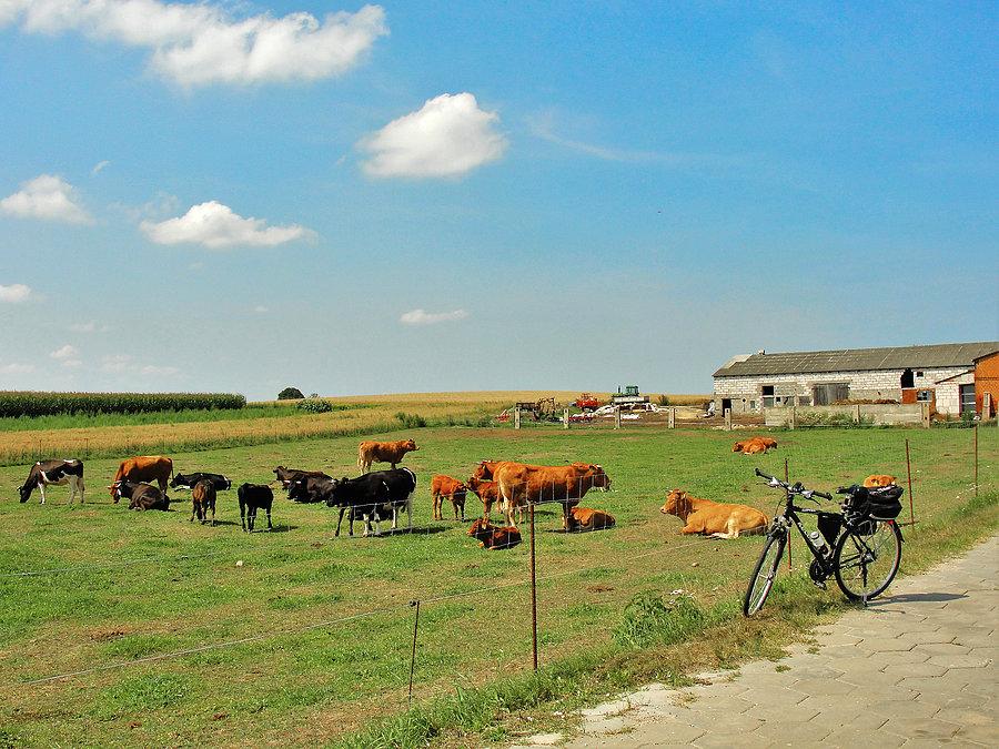 Wycieczka rowerowa - Tczew i jego okolice