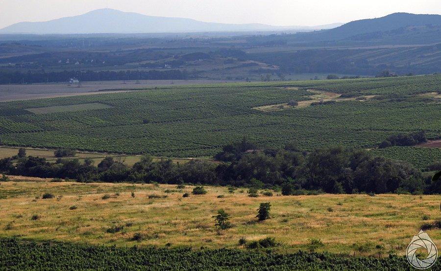 W oddali Tokaj
