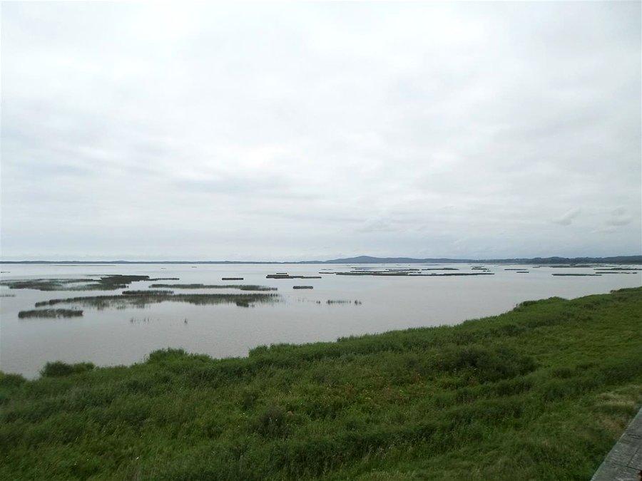 Widok na jezioro