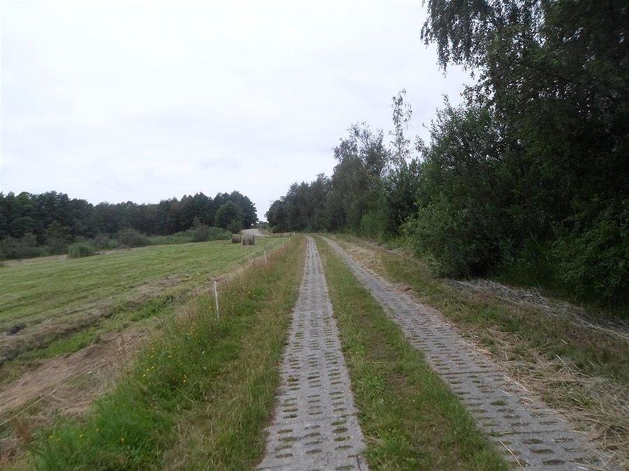 Jedziemy do Rowów