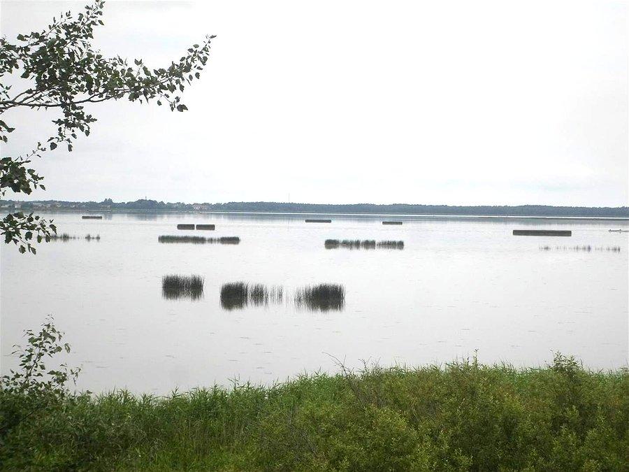 Widok na Jezioro Gardno